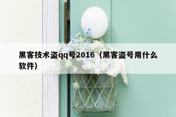 黑客技术盗qq号2016（黑客盗号用什么软件）