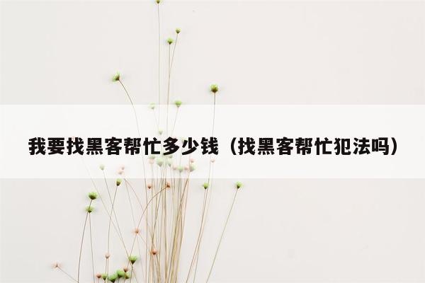 我要找黑客帮忙多少钱（找黑客帮忙犯法吗）