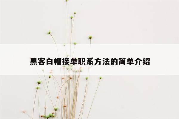 黑客白帽接单职系方法的简单介绍