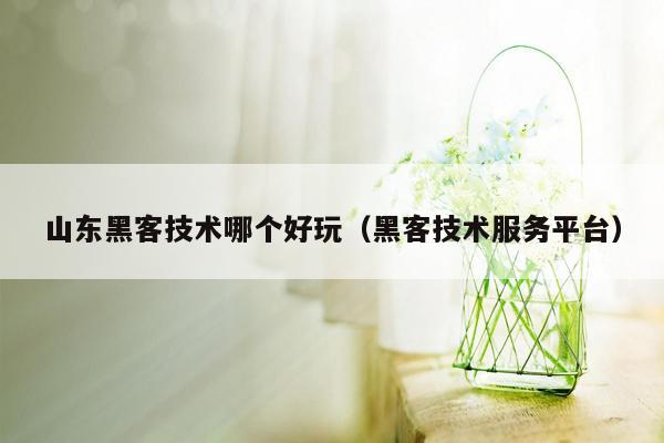 山东黑客技术哪个好玩（黑客技术服务平台）