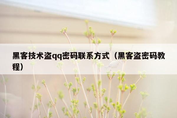 黑客技术盗qq密码联系方式（黑客盗密码教程）