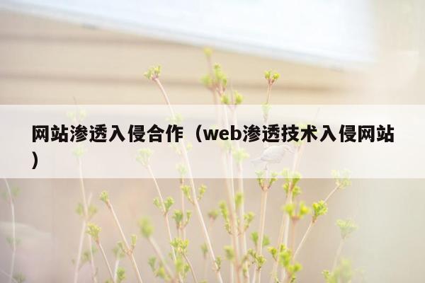 网站渗透入侵合作（web渗透技术入侵网站）