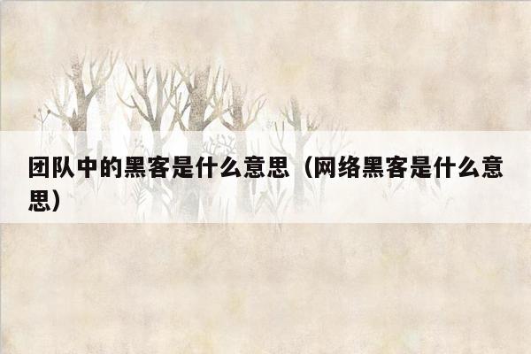 团队中的黑客是什么意思（网络黑客是什么意思）