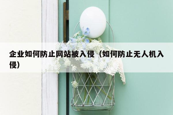 企业如何防止网站被入侵（如何防止无人机入侵）