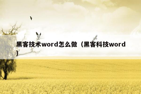 黑客技术word怎么做（黑客科技word）