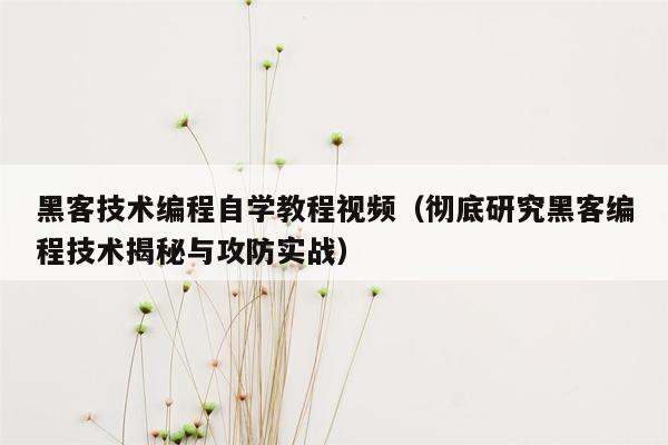 黑客技术编程自学教程视频（彻底研究黑客编程技术揭秘与攻防实战）