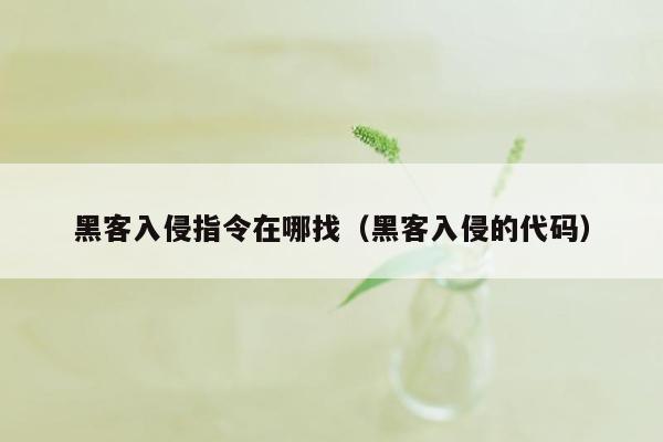 黑客入侵指令在哪找（黑客入侵的代码）