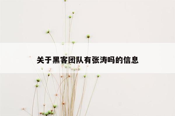 关于黑客团队有张涛吗的信息