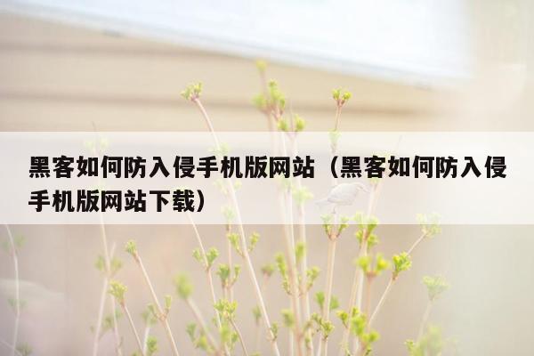 黑客如何防入侵手机版网站（黑客如何防入侵手机版网站下载）