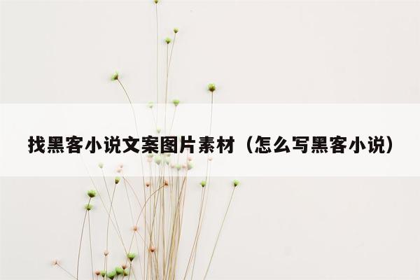 找黑客小说文案图片素材（怎么写黑客小说）