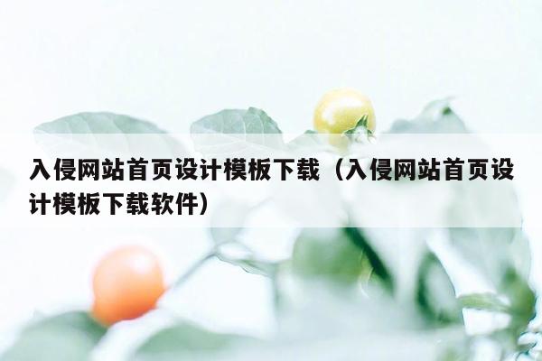 入侵网站首页设计模板下载（入侵网站首页设计模板下载软件）