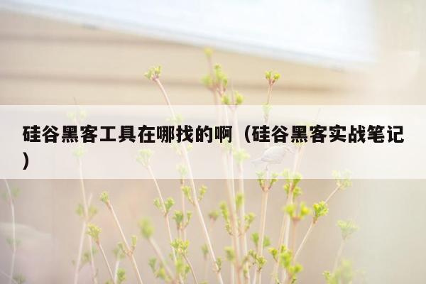 硅谷黑客工具在哪找的啊（硅谷黑客实战笔记）