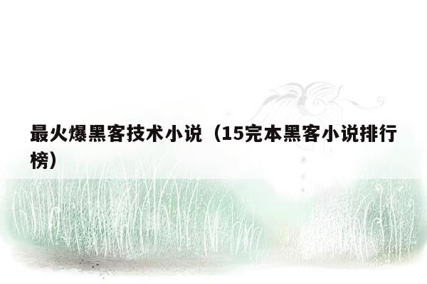 最火爆黑客技术小说（15完本黑客小说排行榜）