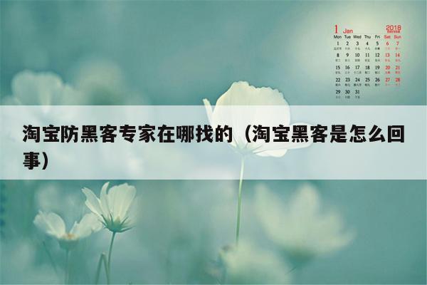 淘宝防黑客专家在哪找的（淘宝黑客是怎么回事）