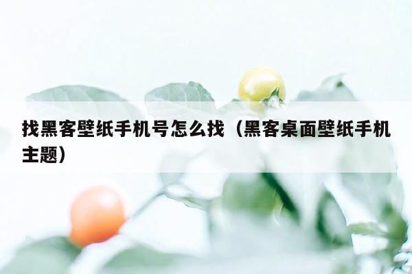 找黑客壁纸手机号怎么找（黑客桌面壁纸手机主题）