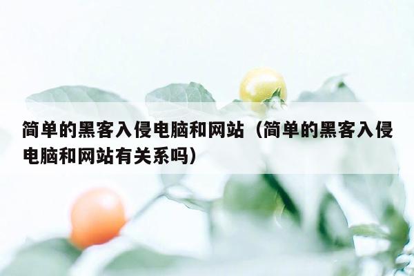 简单的黑客入侵电脑和网站（简单的黑客入侵电脑和网站有关系吗）