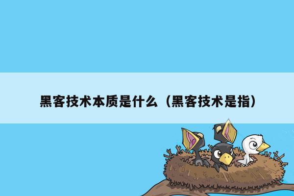 黑客技术本质是什么（黑客技术是指）