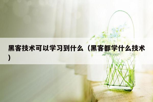 黑客技术可以学习到什么（黑客都学什么技术）