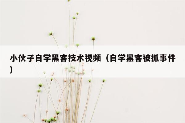 小伙子自学黑客技术视频（自学黑客被抓事件）