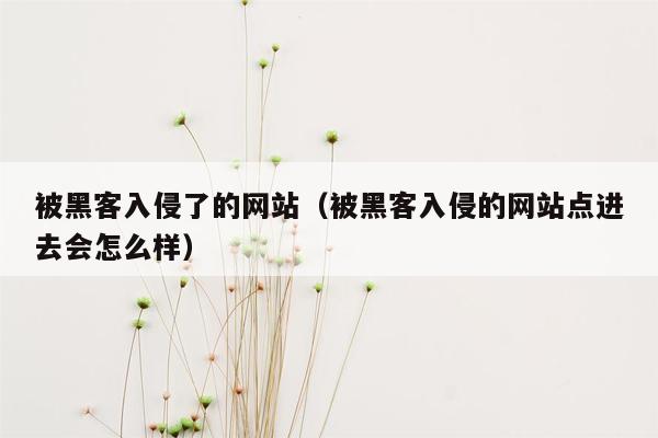 被黑客入侵了的网站（被黑客入侵的网站点进去会怎么样）