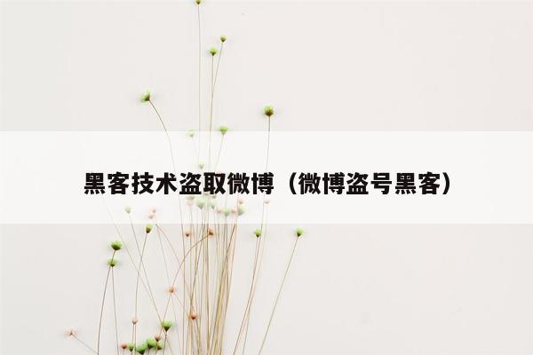 黑客技术盗取微博（微博盗号黑客）