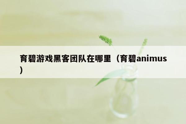 育碧游戏黑客团队在哪里（育碧animus）