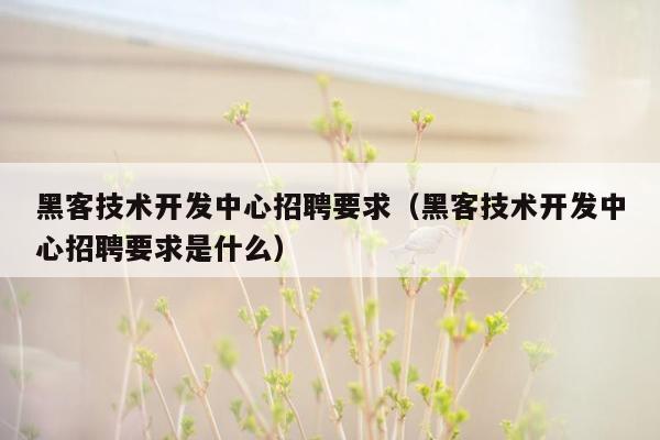 黑客技术开发中心招聘要求（黑客技术开发中心招聘要求是什么）