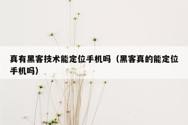 真有黑客技术能定位手机吗（黑客真的能定位手机吗）