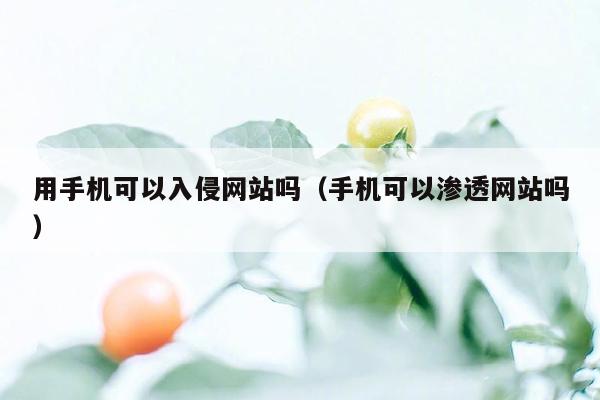 用手机可以入侵网站吗（手机可以渗透网站吗）