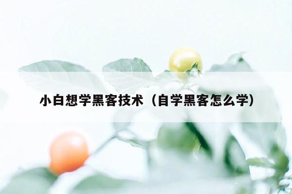 小白想学黑客技术（自学黑客怎么学）