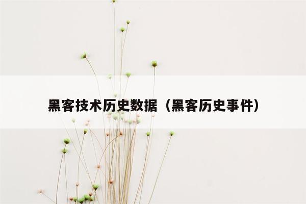 黑客技术历史数据（黑客历史事件）