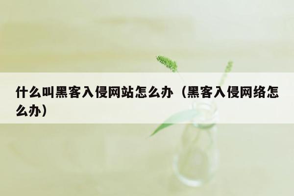 什么叫黑客入侵网站怎么办（黑客入侵网络怎么办）