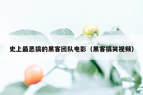 史上最恶搞的黑客团队电影（黑客搞笑视频）