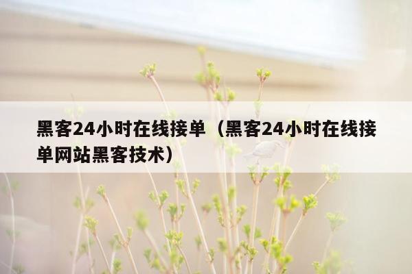 黑客24小时在线接单（黑客24小时在线接单网站黑客技术）