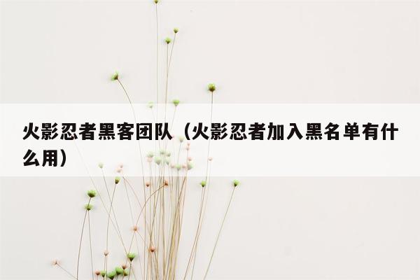 火影忍者黑客团队（火影忍者加入黑名单有什么用）