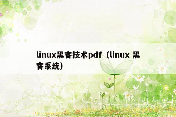 linux黑客技术pdf（linux 黑客系统）