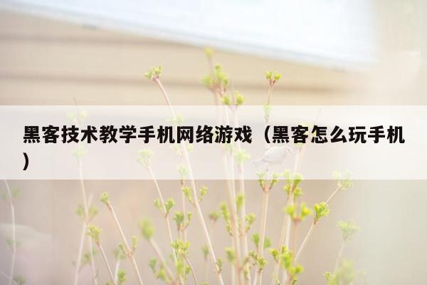 黑客技术教学手机网络游戏（黑客怎么玩手机）