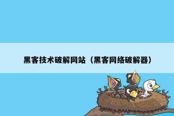 黑客技术破解网站（黑客网络破解器）