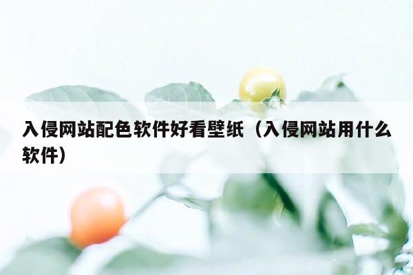 入侵网站配色软件好看壁纸（入侵网站用什么软件）