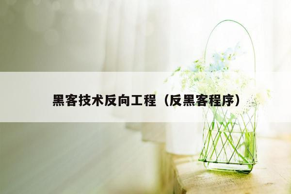 黑客技术反向工程（反黑客程序）