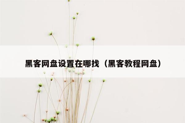 黑客网盘设置在哪找（黑客教程网盘）