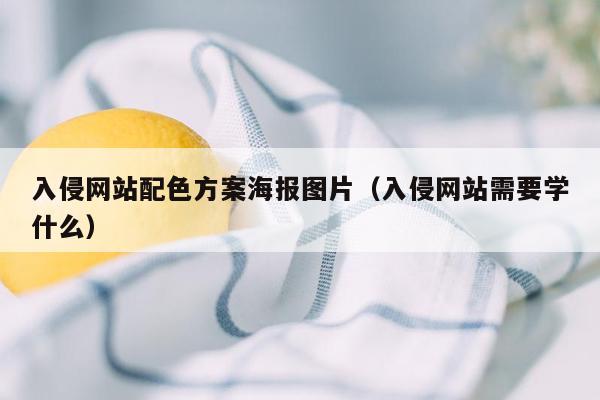 入侵网站配色方案海报图片（入侵网站需要学什么）