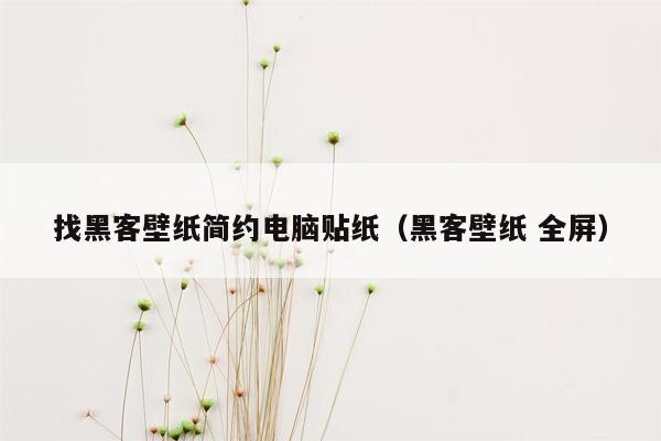 找黑客壁纸简约电脑贴纸（黑客壁纸 全屏）