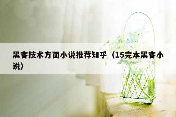 黑客技术方面小说推荐知乎（15完本黑客小说）