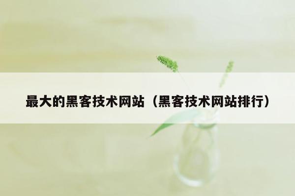 最大的黑客技术网站（黑客技术网站排行）