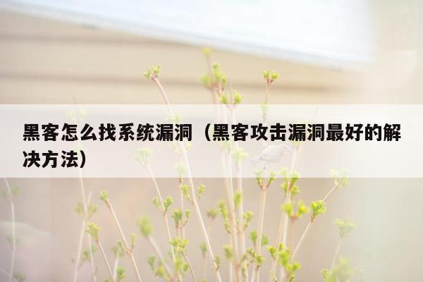 黑客怎么找系统漏洞（黑客攻击漏洞最好的解决方法）