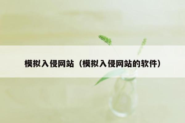 模拟入侵网站（模拟入侵网站的软件）