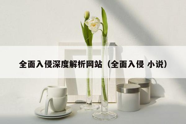 全面入侵深度解析网站（全面入侵 小说）