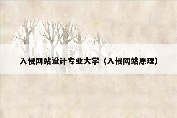 入侵网站设计专业大学（入侵网站原理）