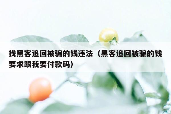 找黑客追回被骗的钱违法（黑客追回被骗的钱要求跟我要付款码）